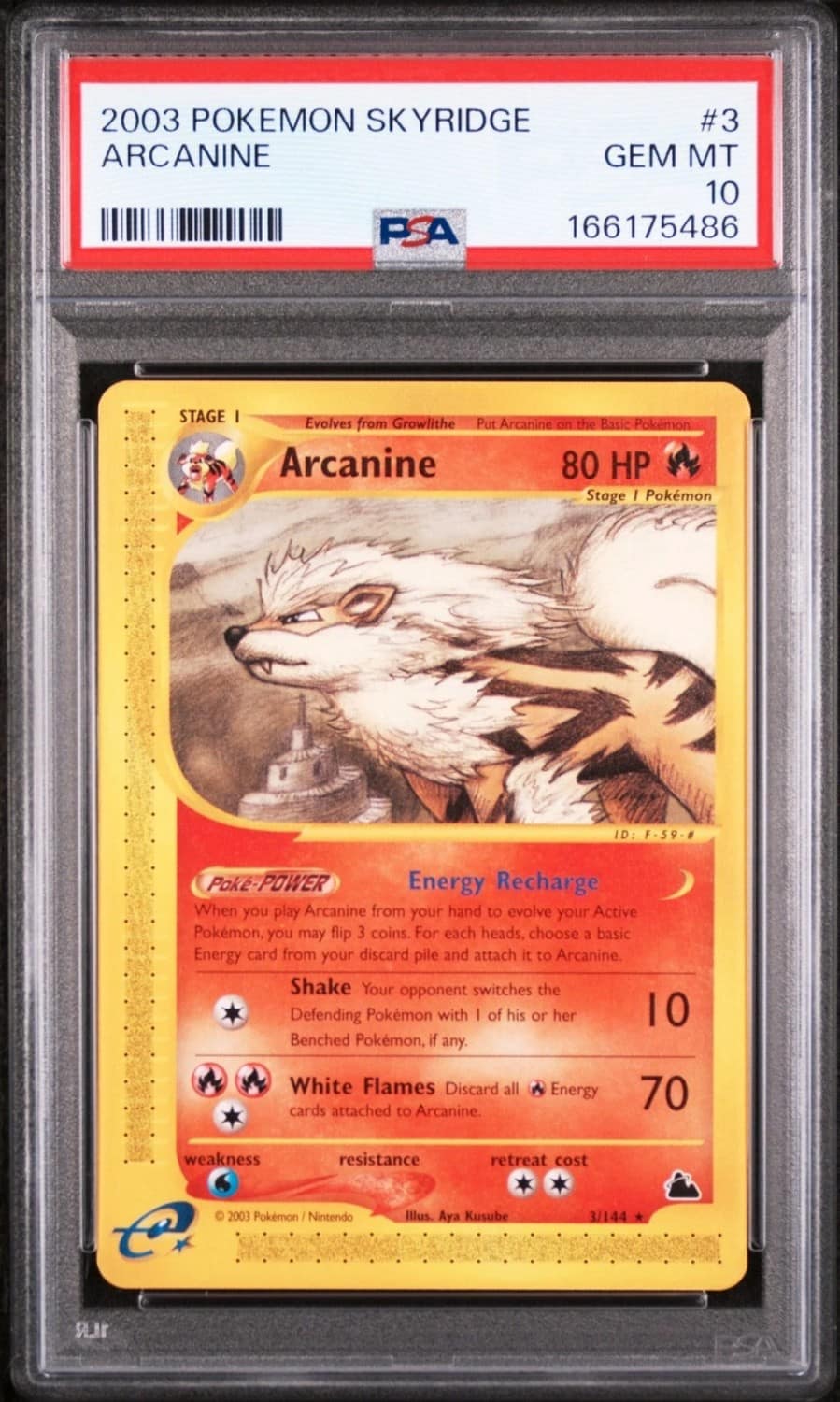 Arcanine