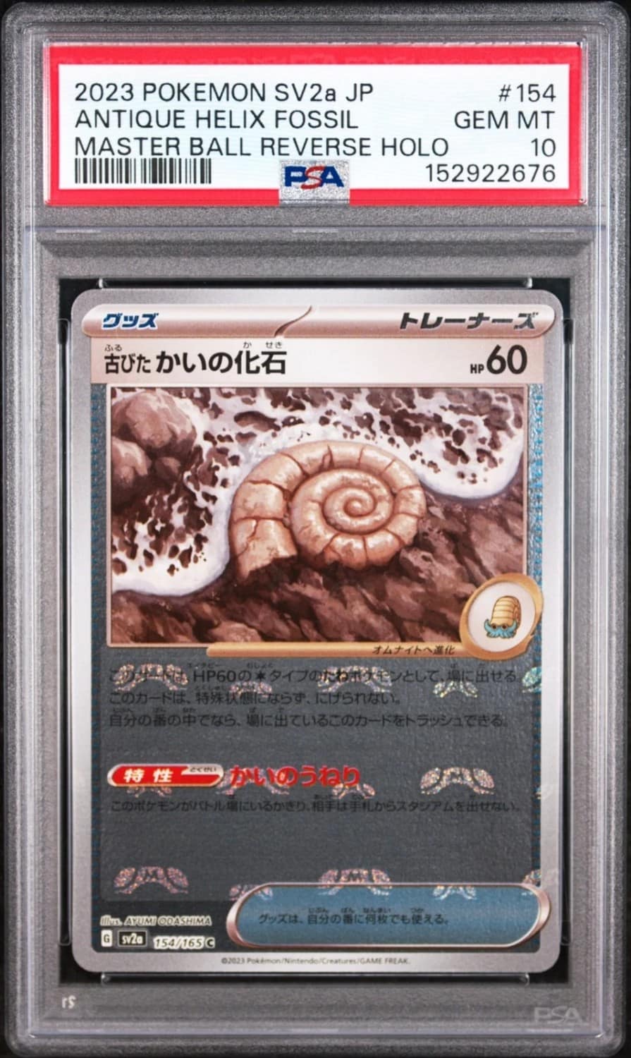 Antique Helix Fossil