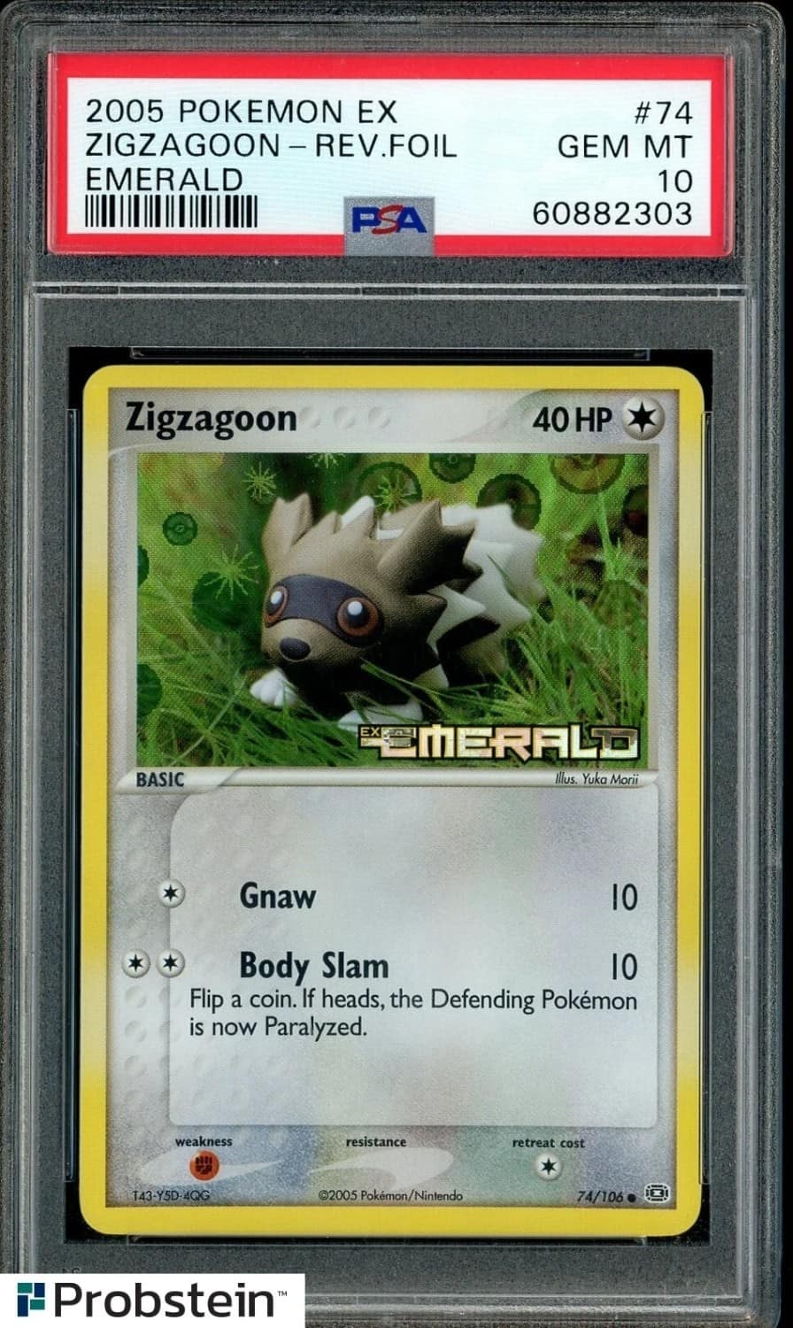 Zigzagoon