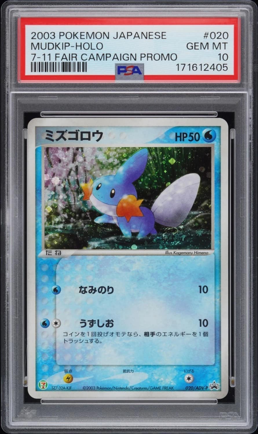 Mudkip