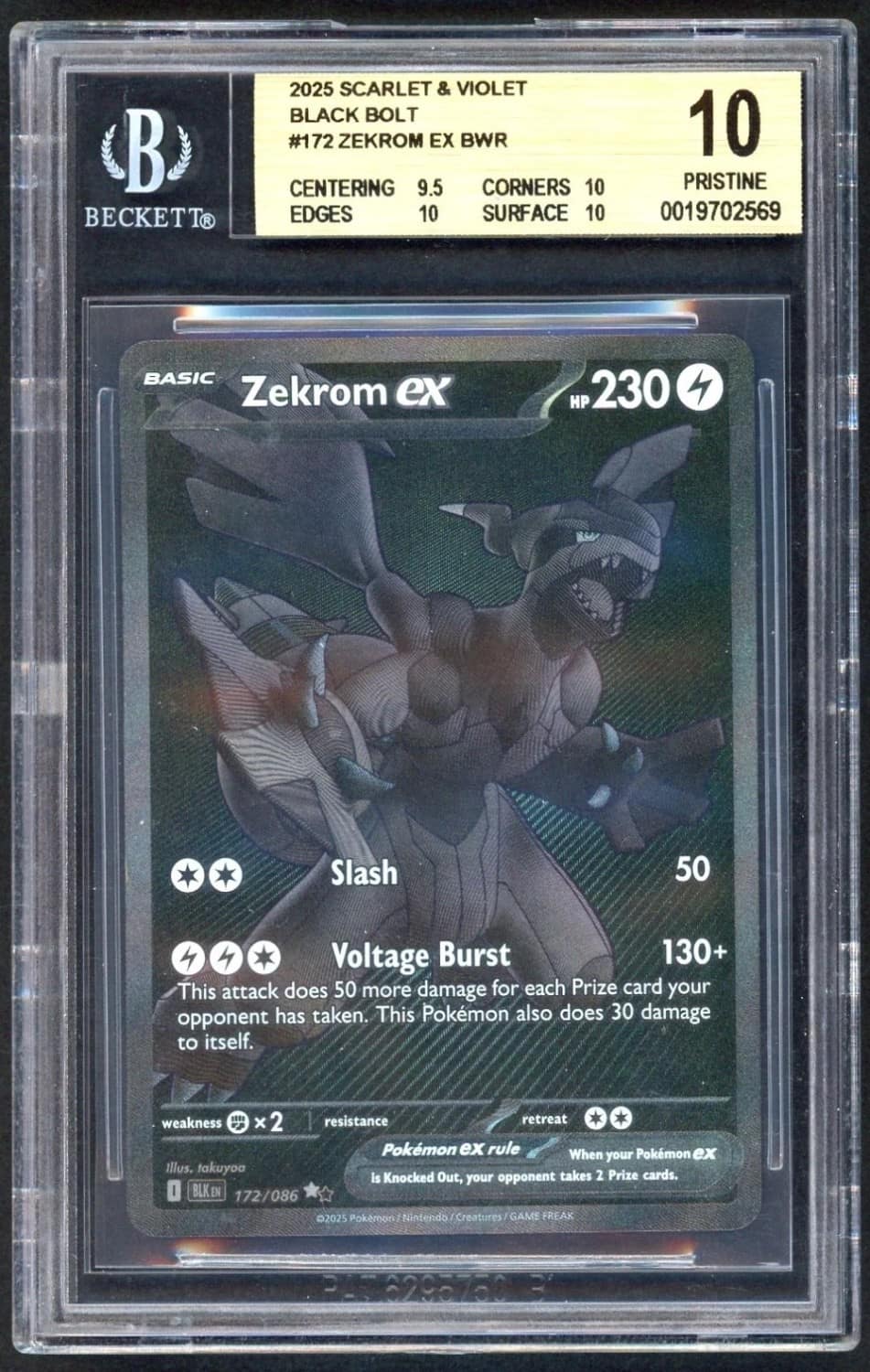 Zekrom Ex