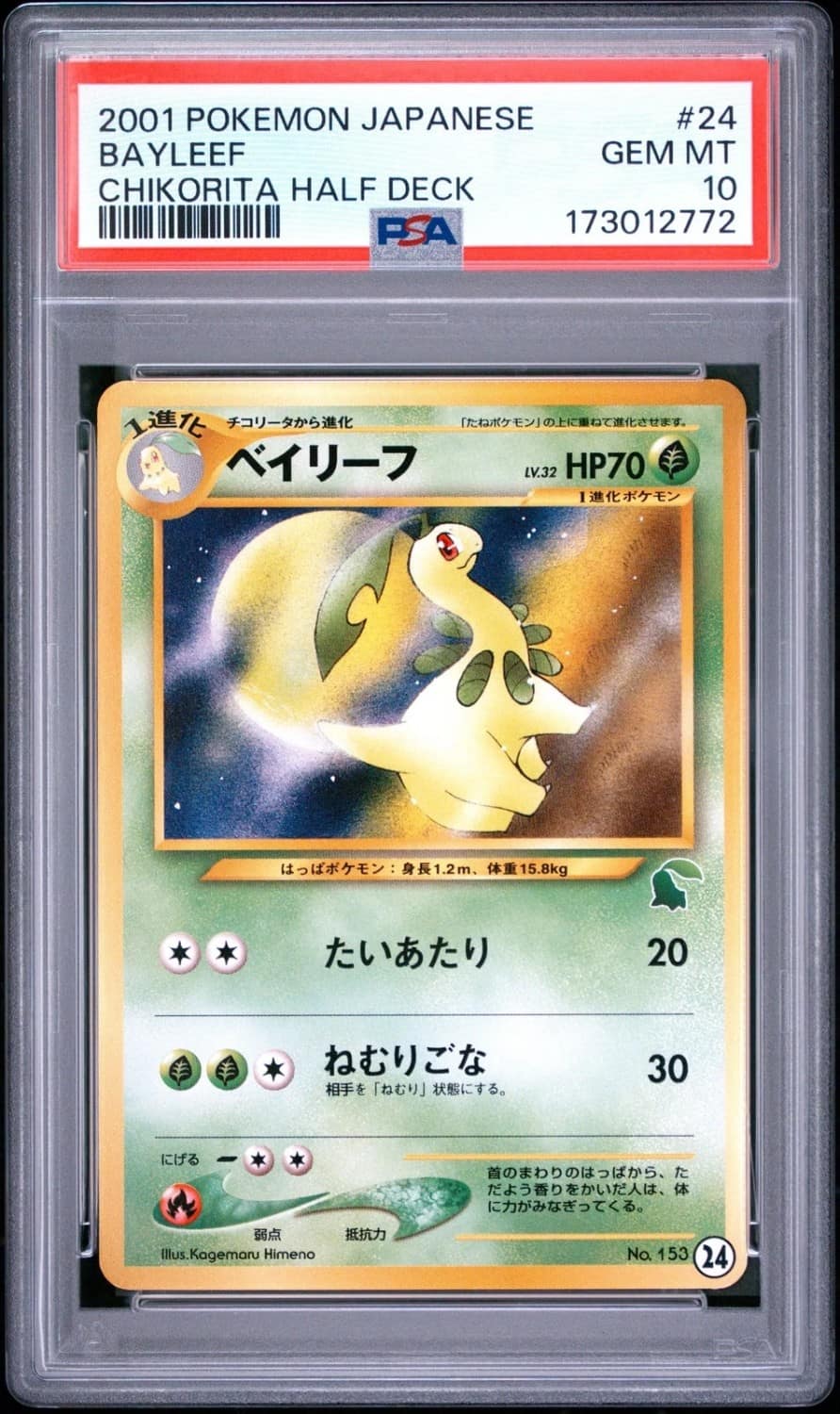 Bayleef