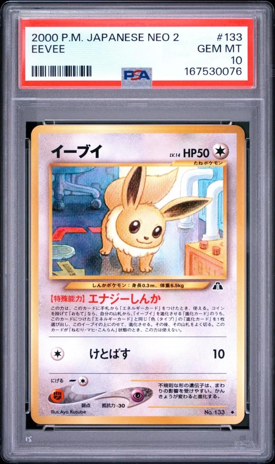 Eevee