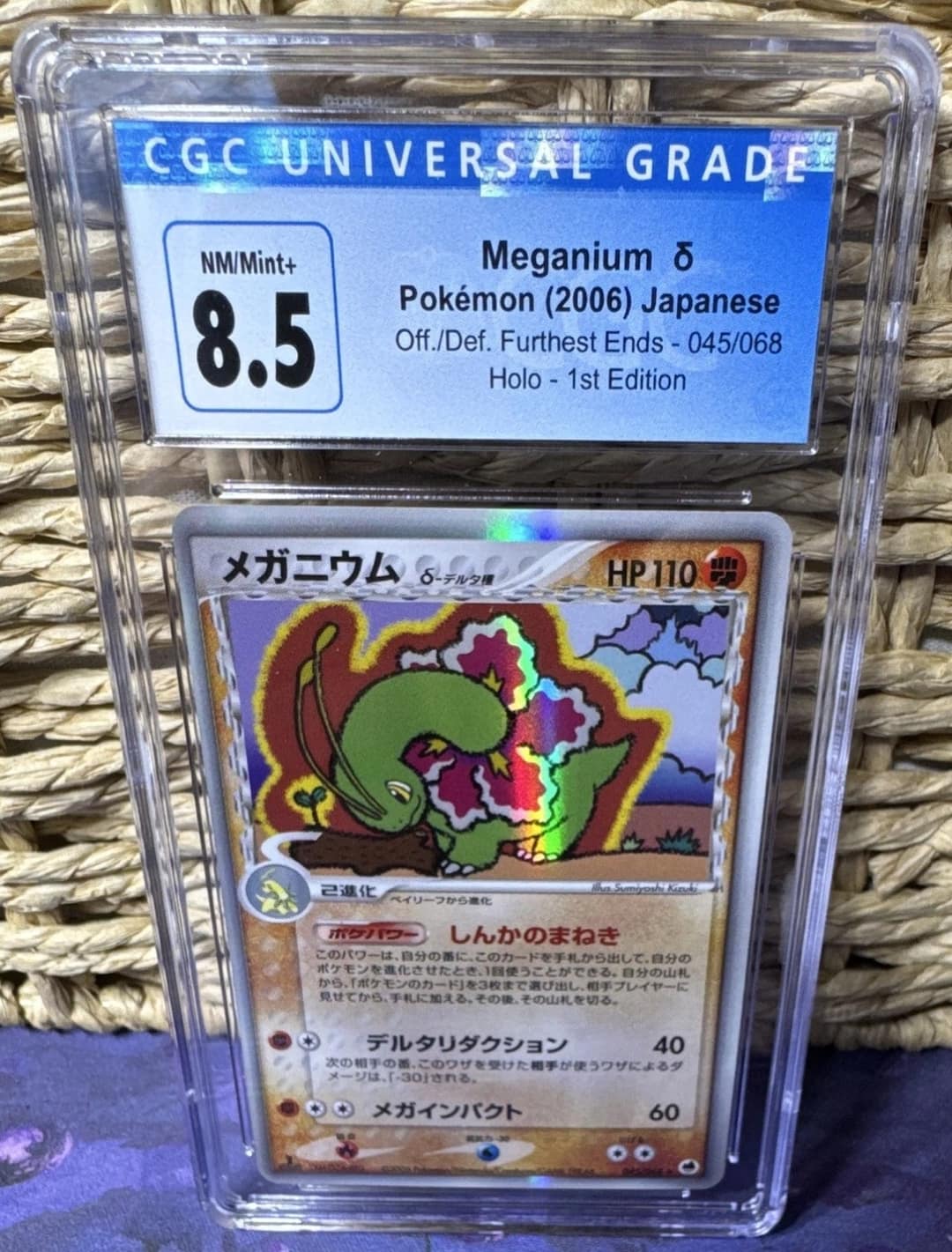 Meganium δ