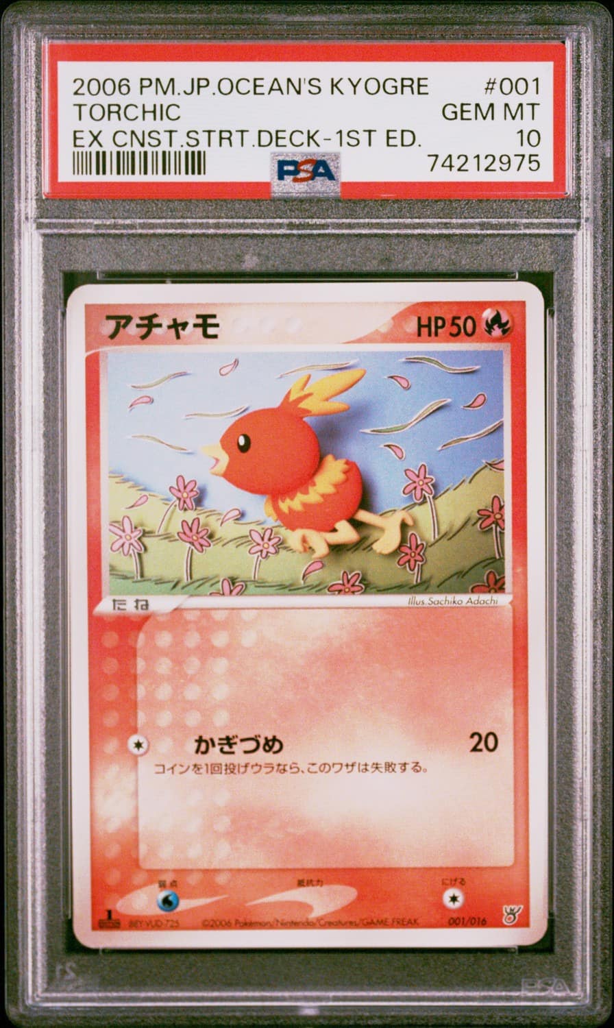 Torchic