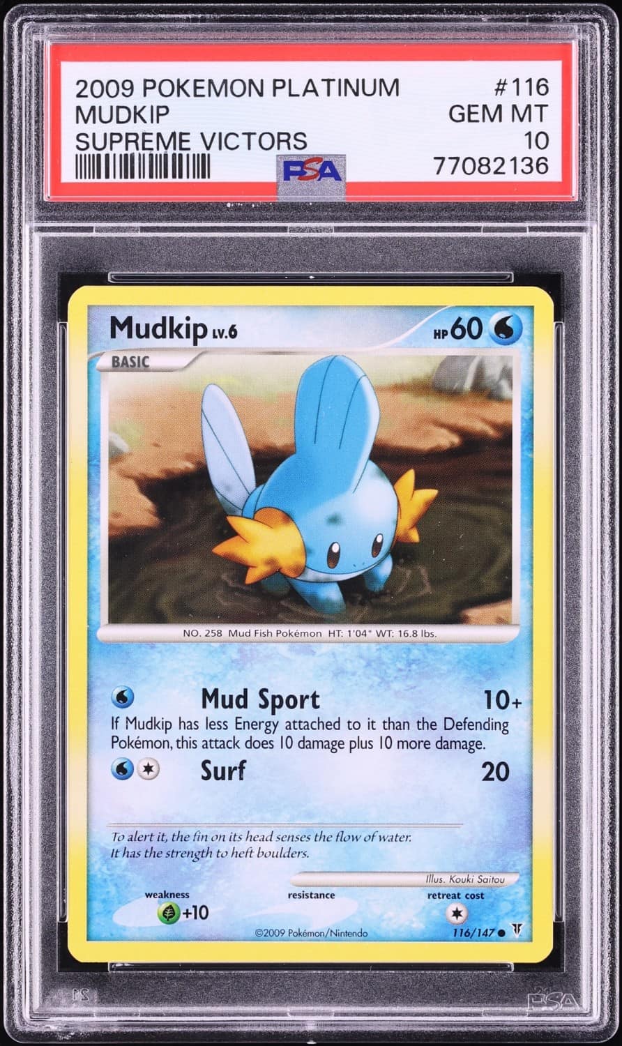 Mudkip