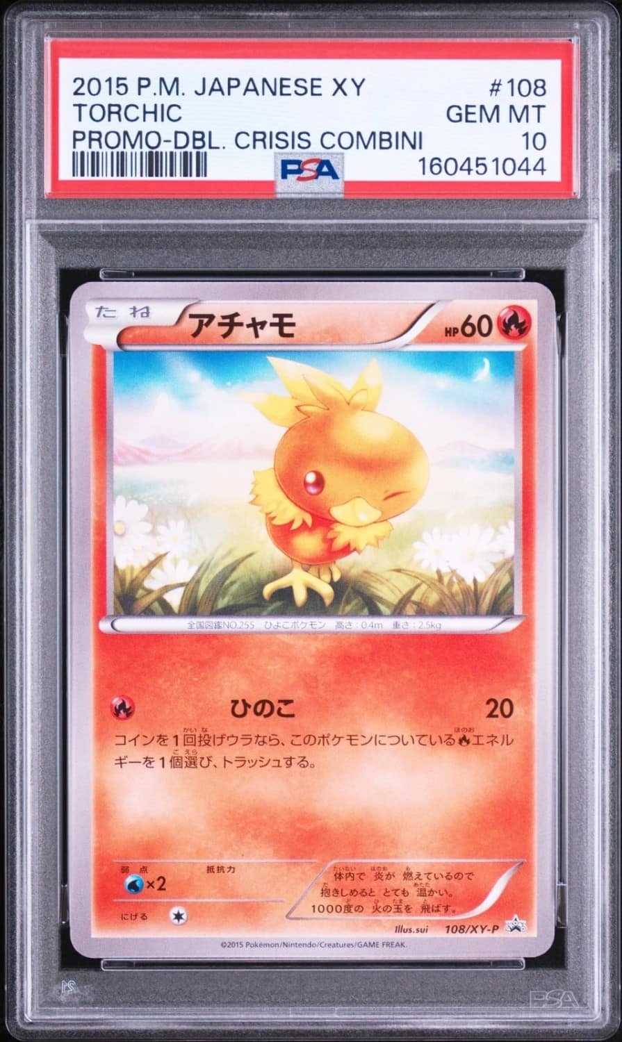 Torchic