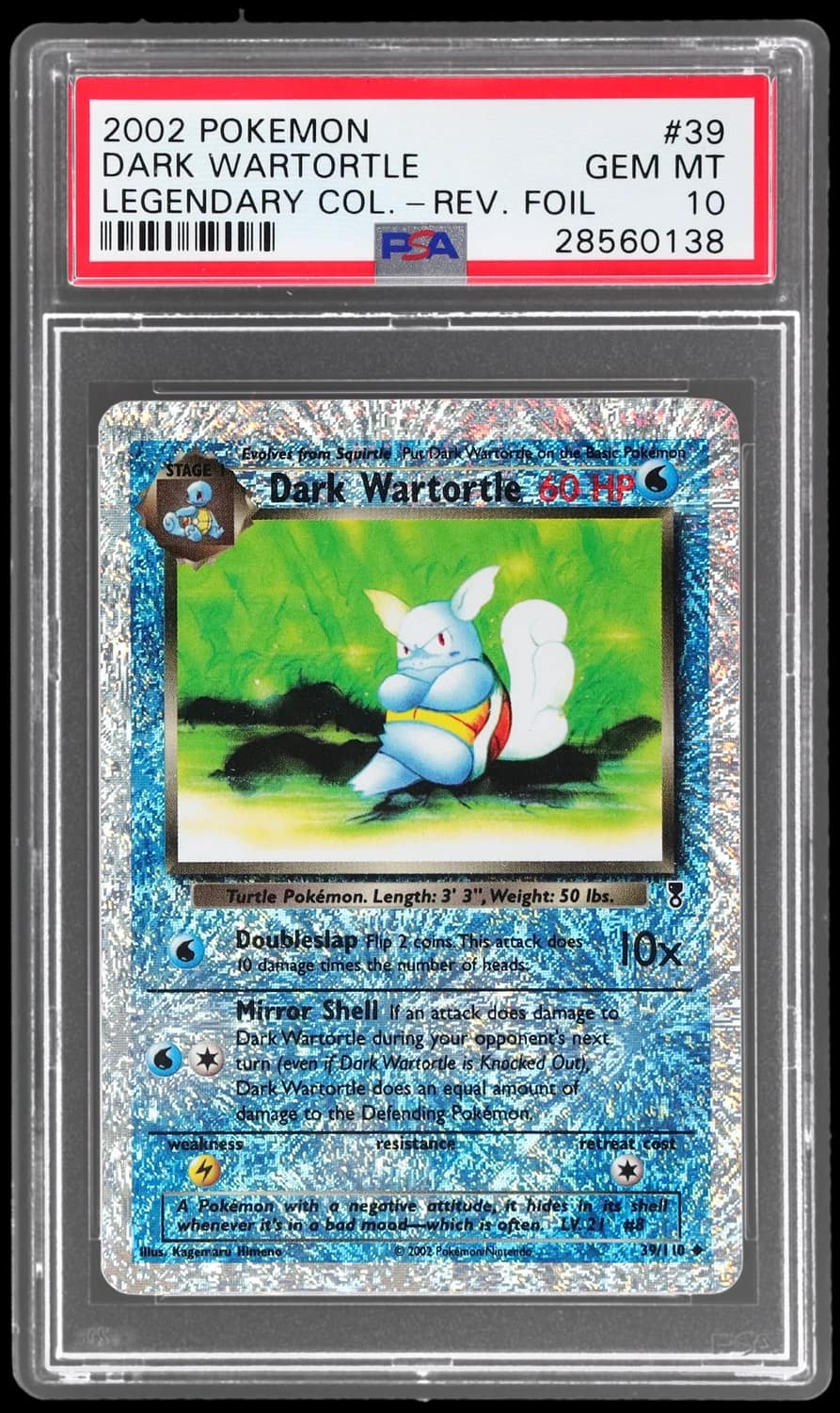 Dark Wartortle