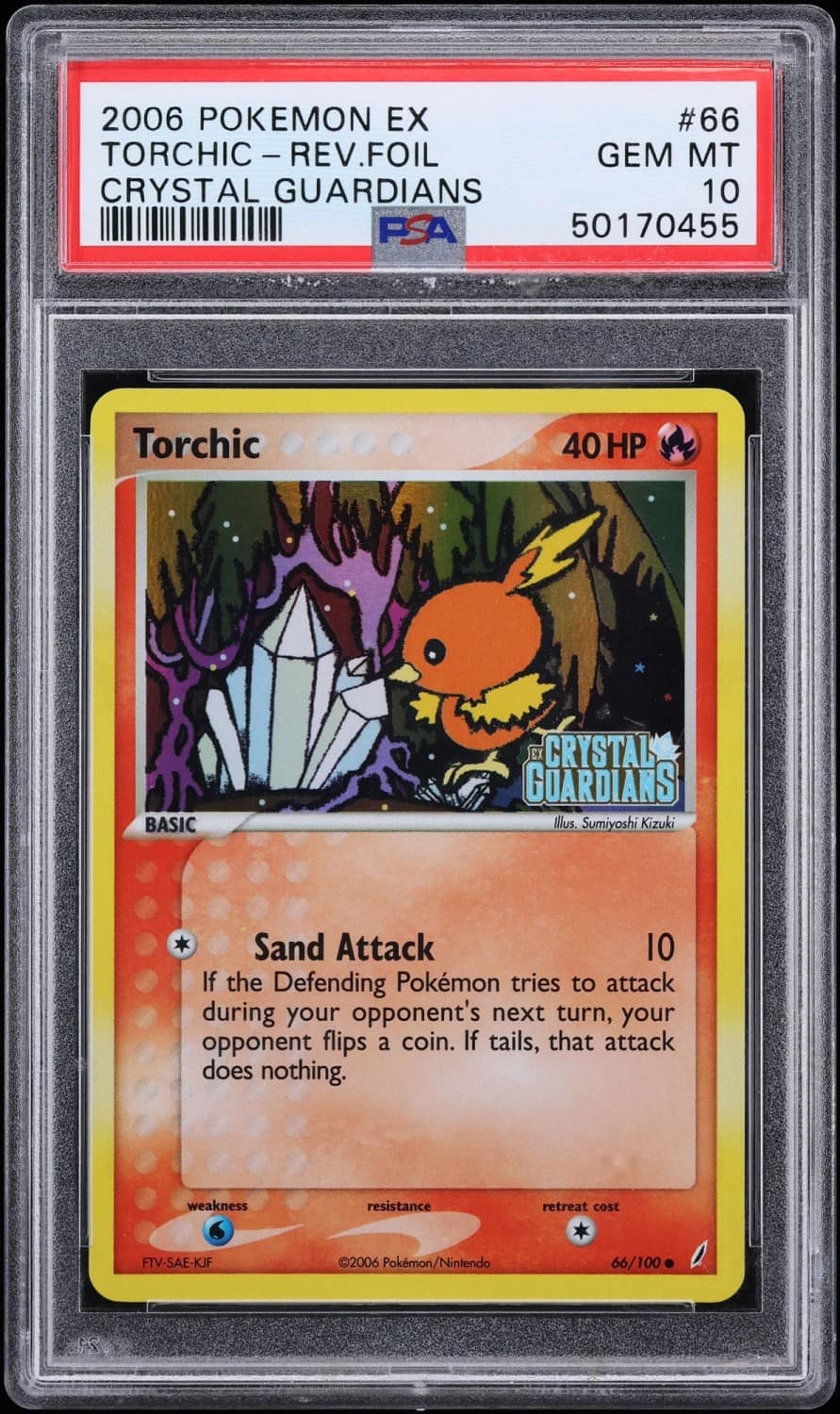 Torchic