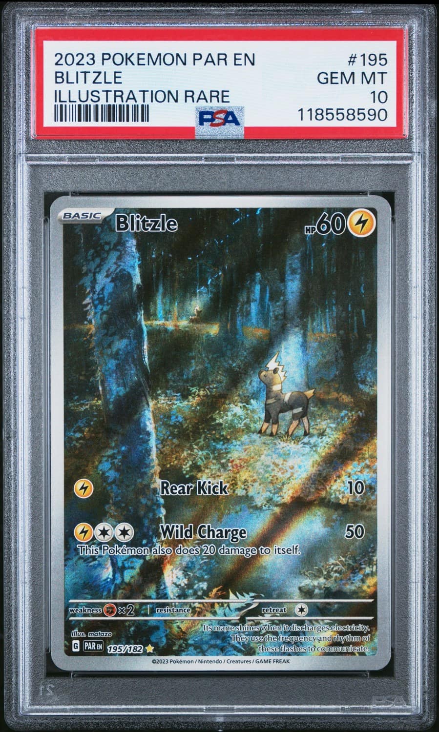 Blitzle