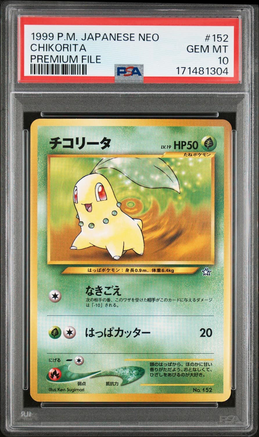 Chikorita