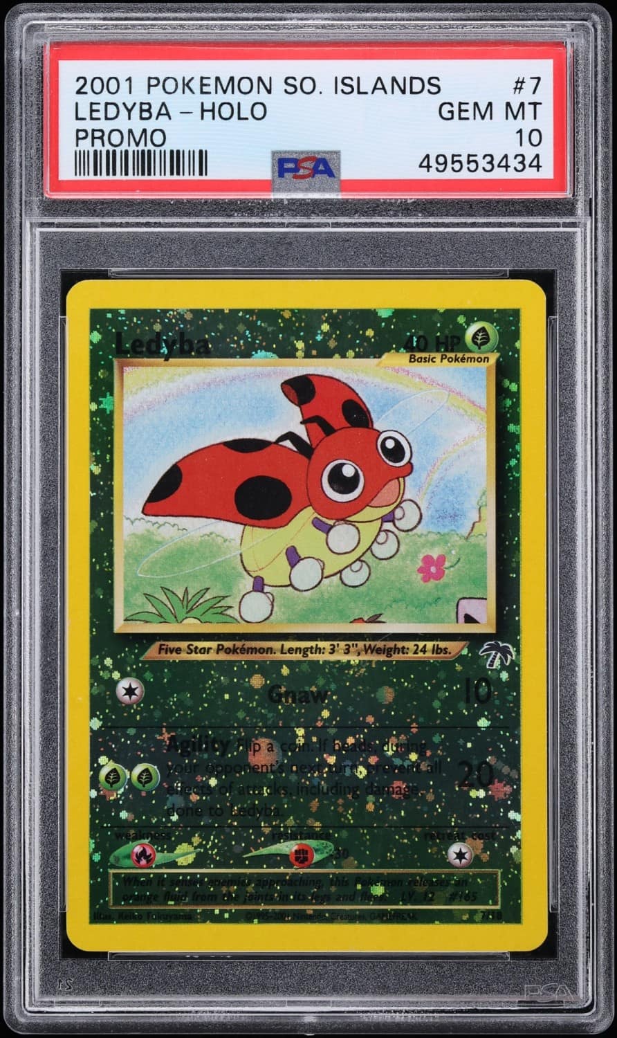 Ledyba