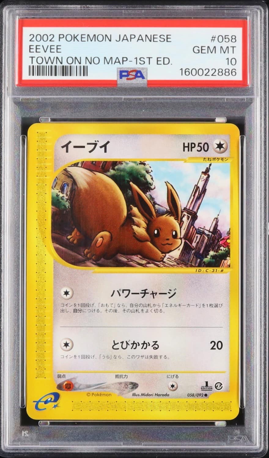 Eevee
