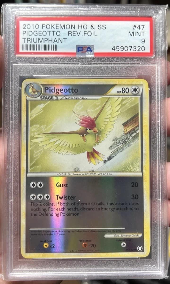 Pidgeotto