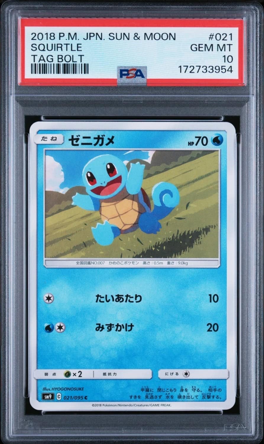 Squirtle