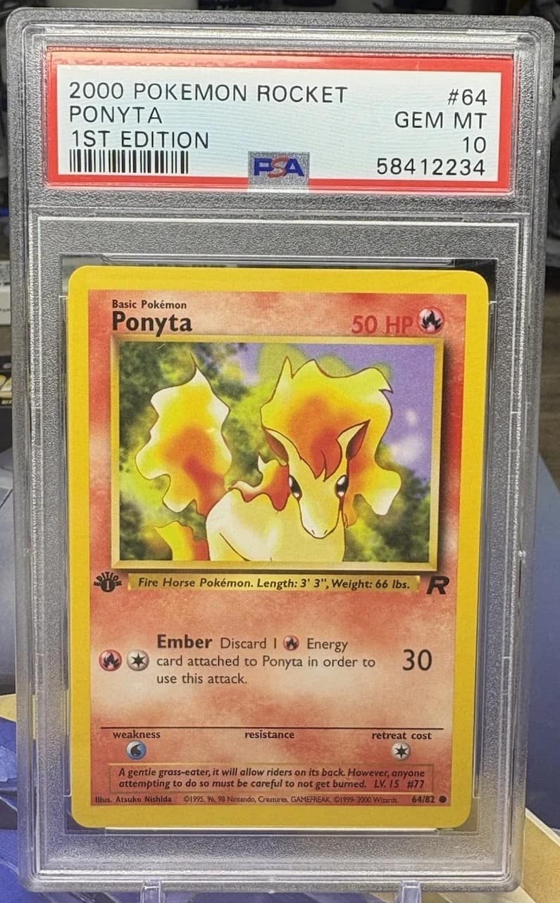 Ponyta