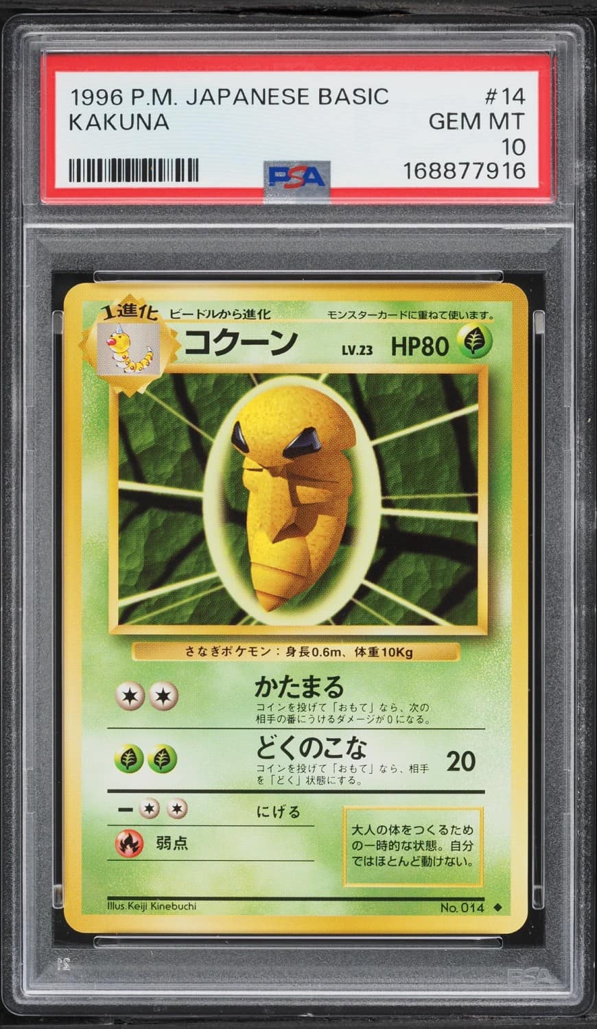 Kakuna
