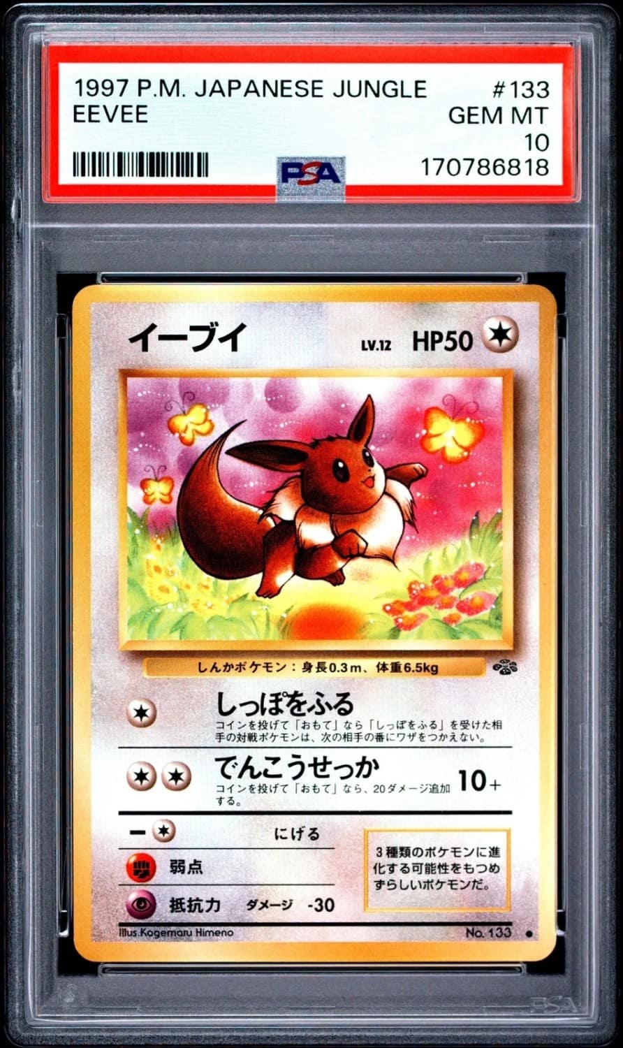 Eevee