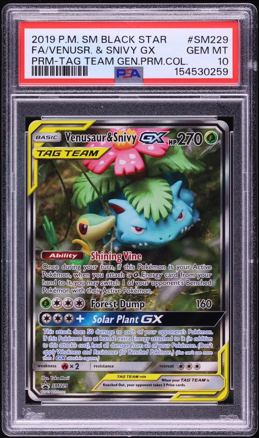 Venusaur & Snivy Gx