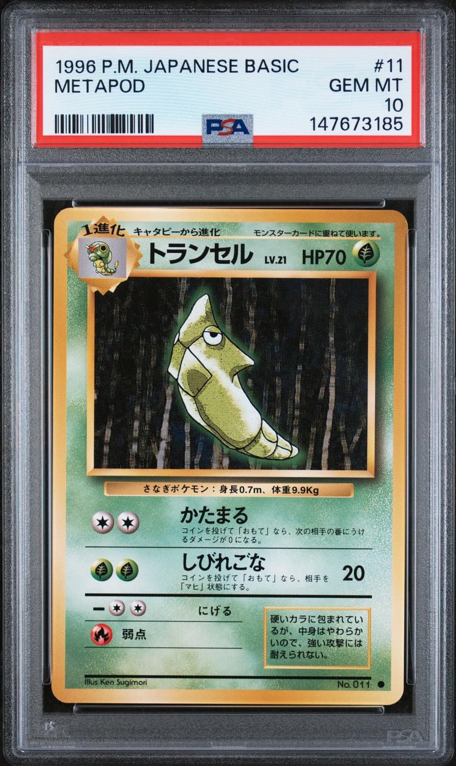 Metapod