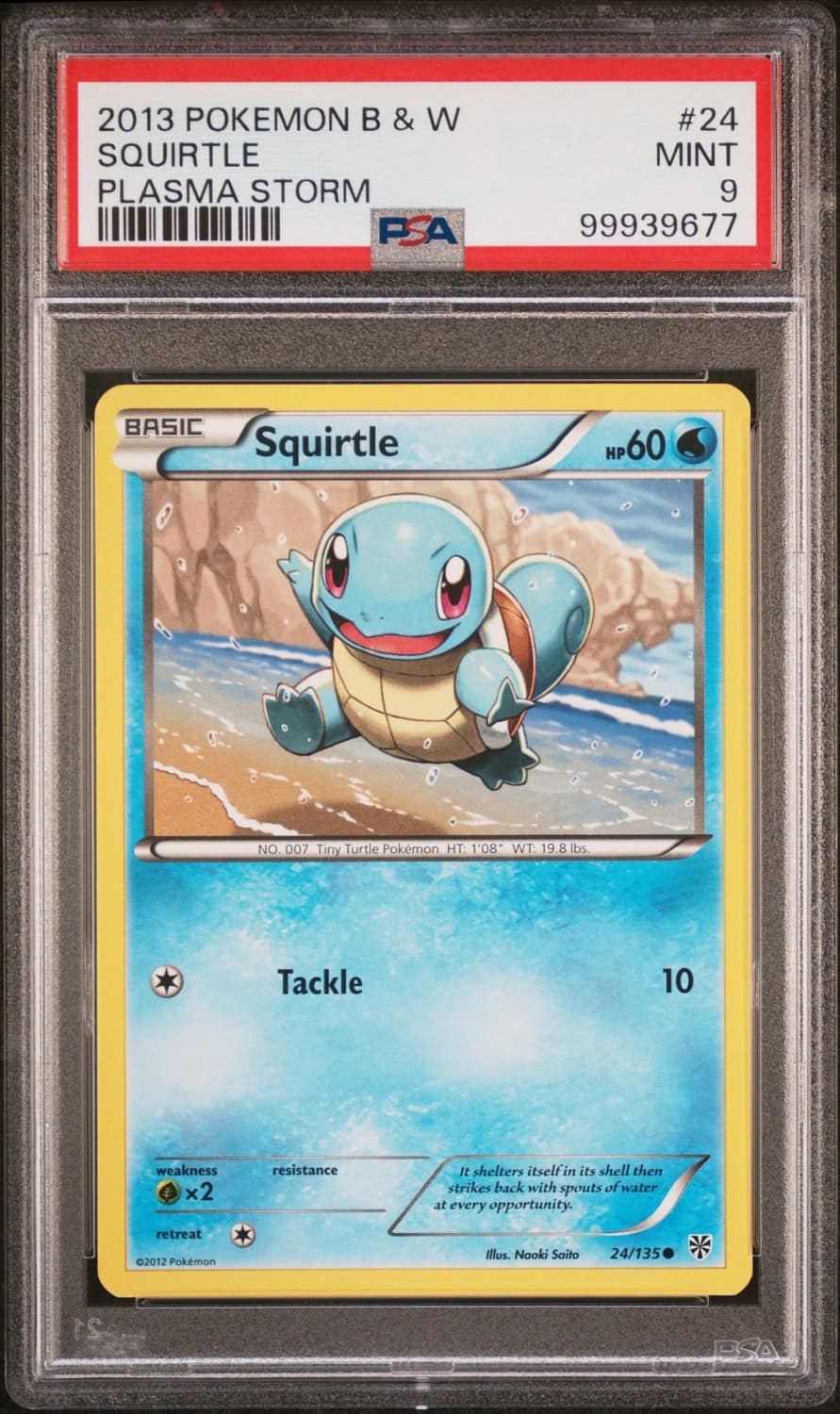 Squirtle