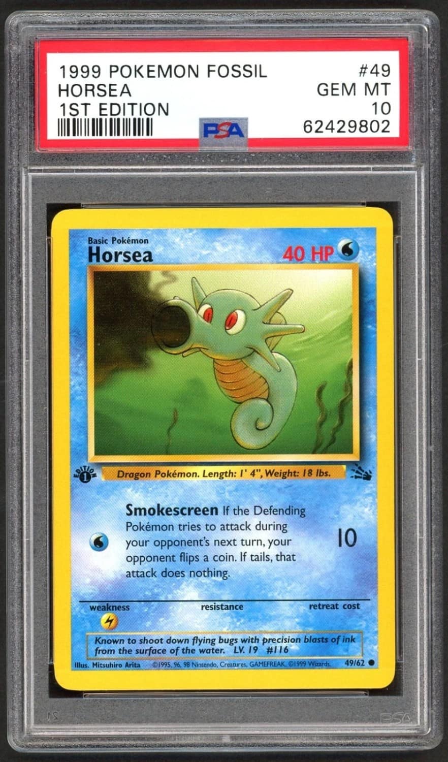 Horsea