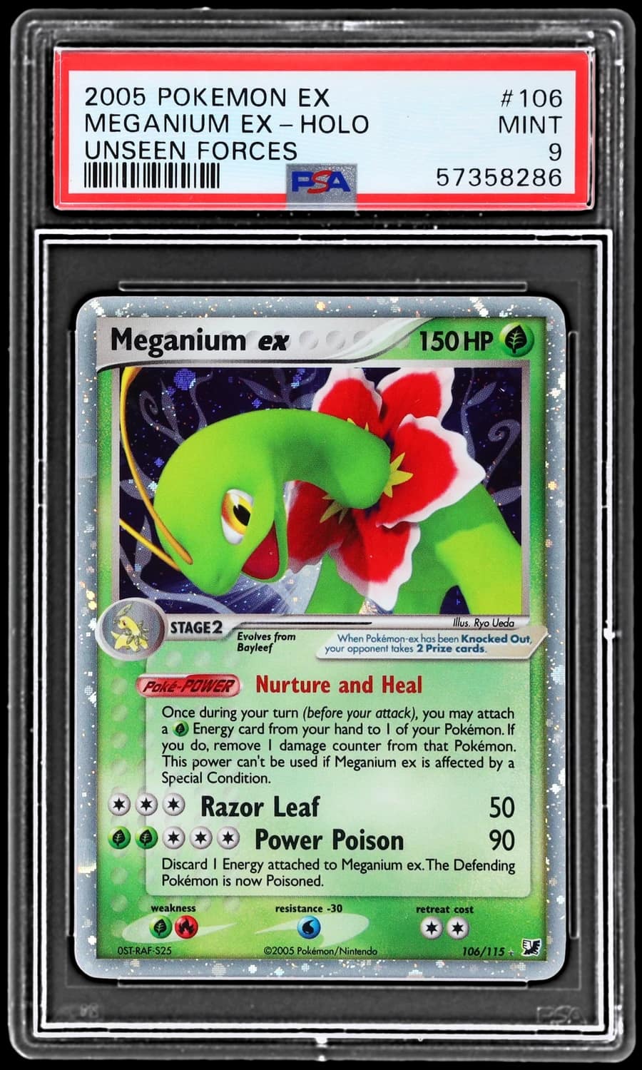 Meganium Ex