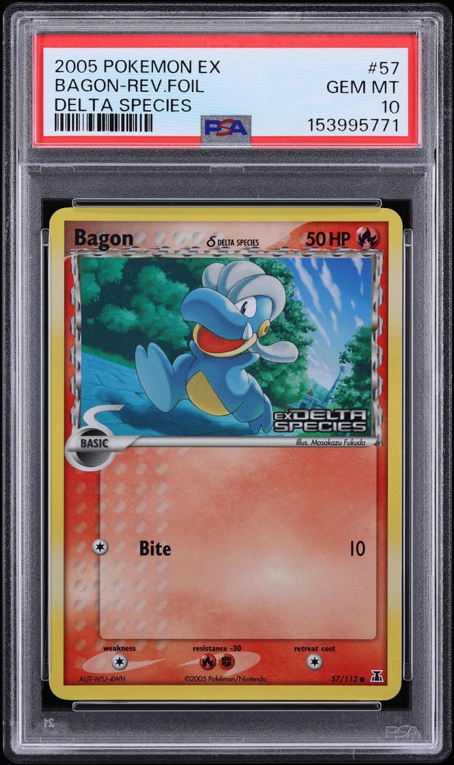 Bagon δ