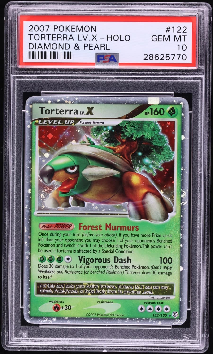 Torterra Lv X