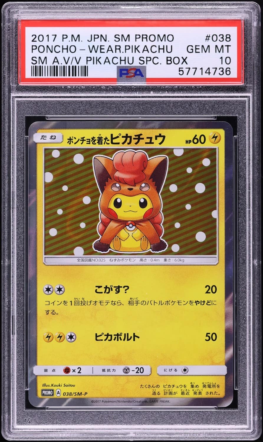Poncho-Wearing Pikachu