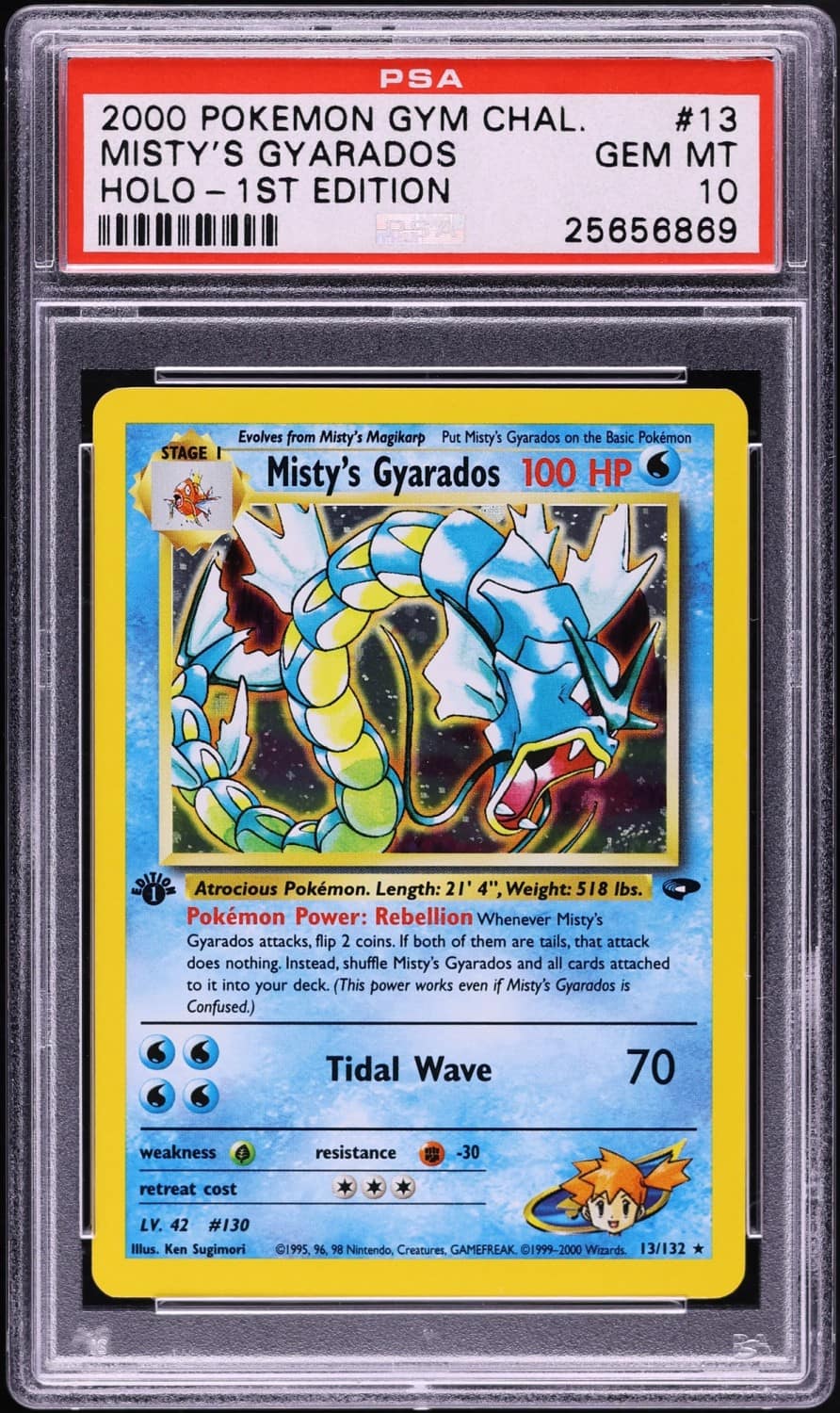 Misty'S Gyarados