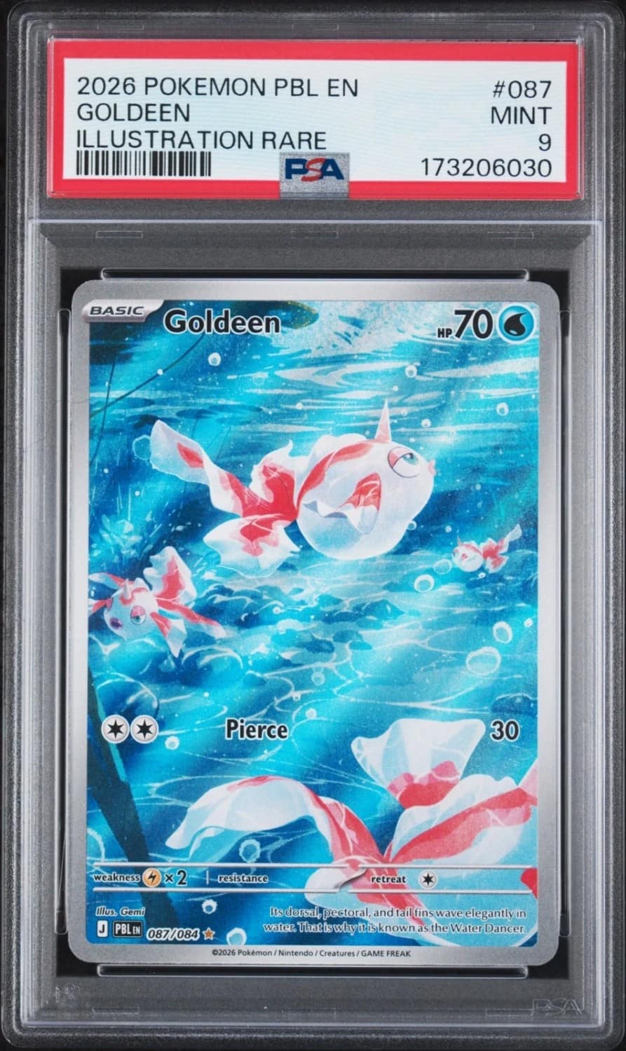 Goldeen