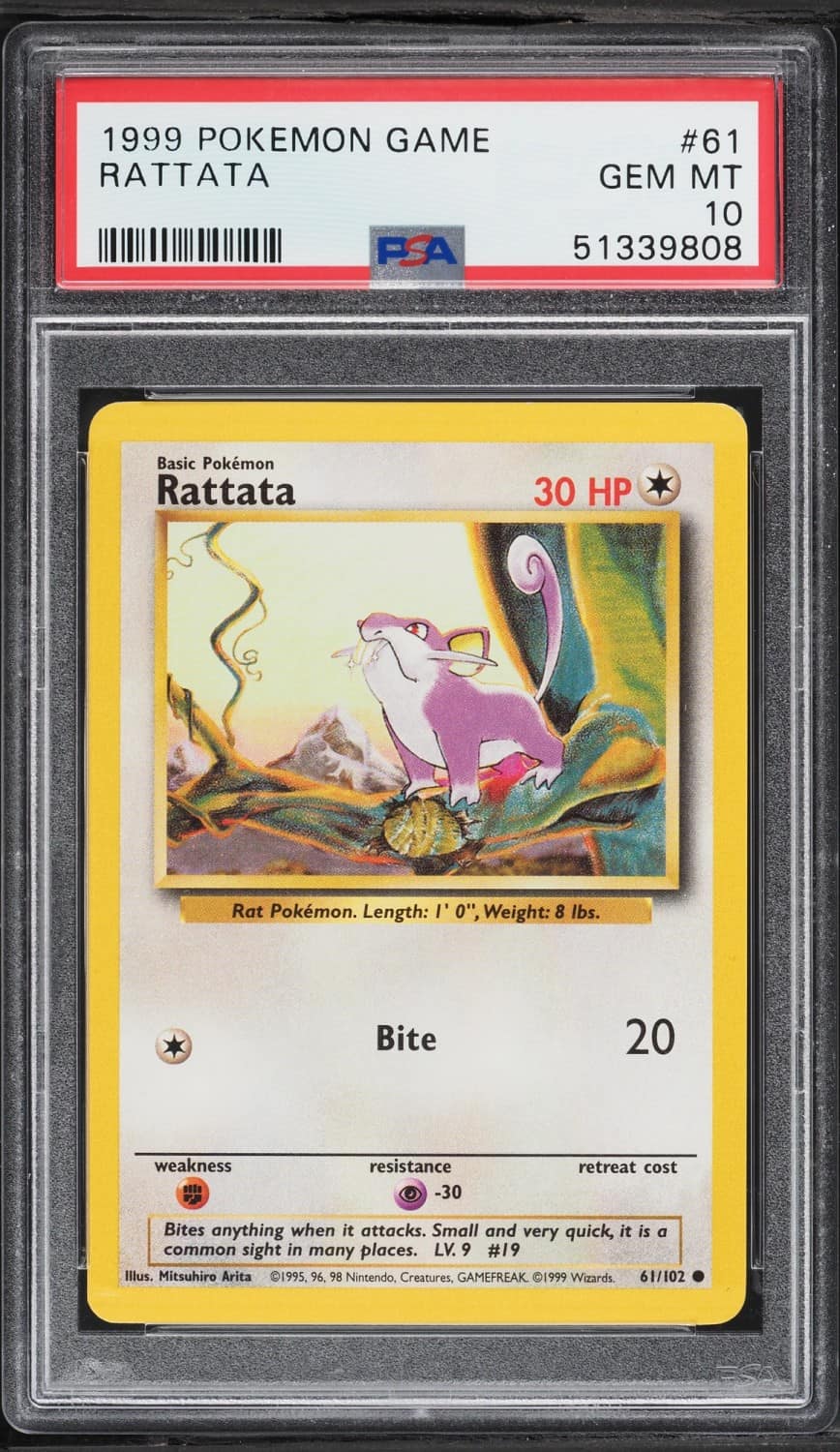 Rattata