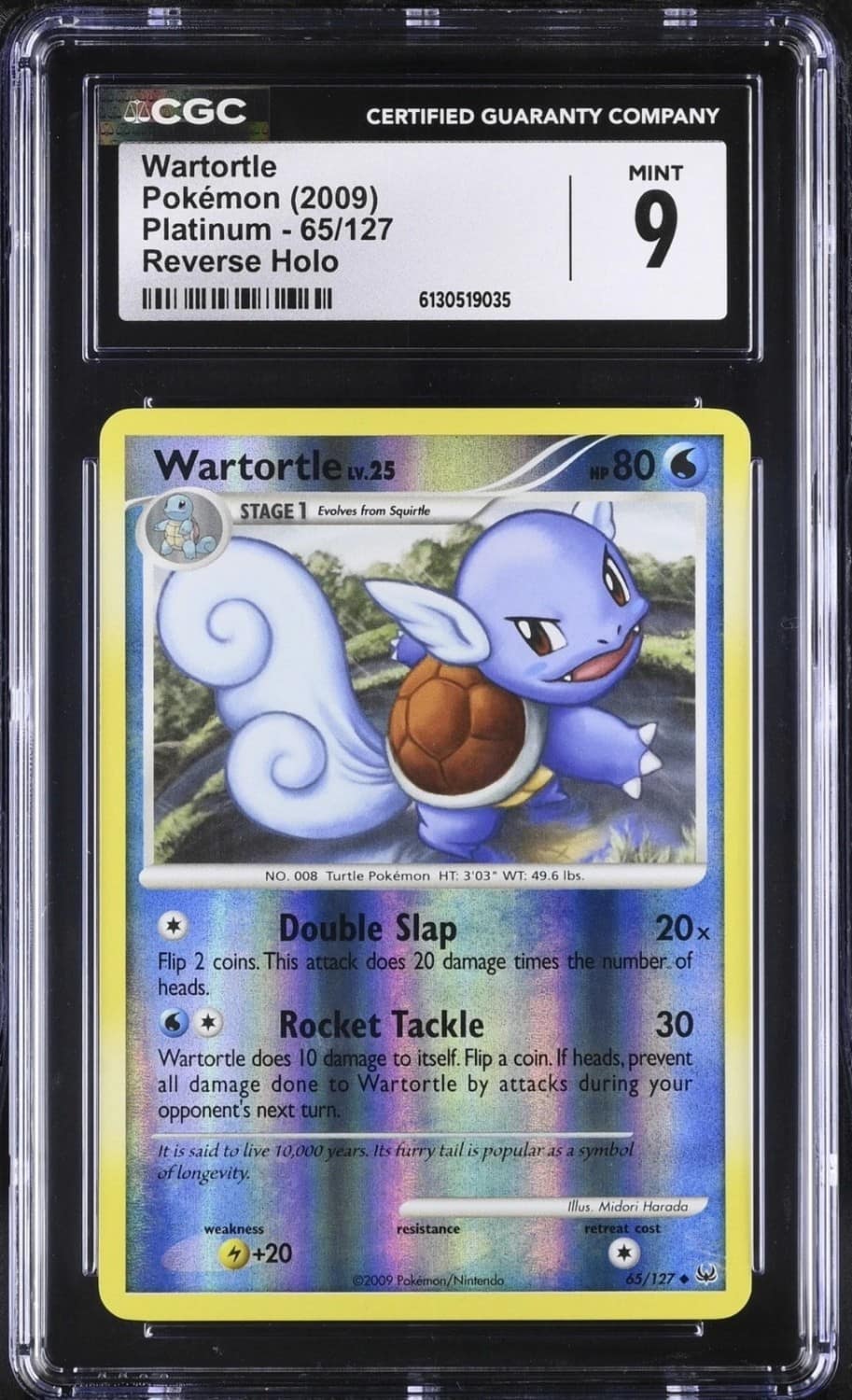 Wartortle