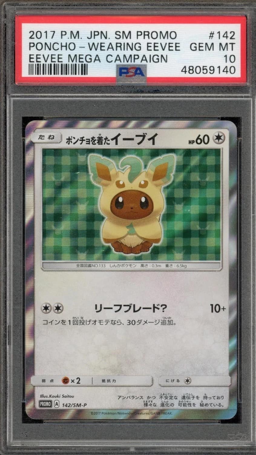 Poncho-Wearing Eevee