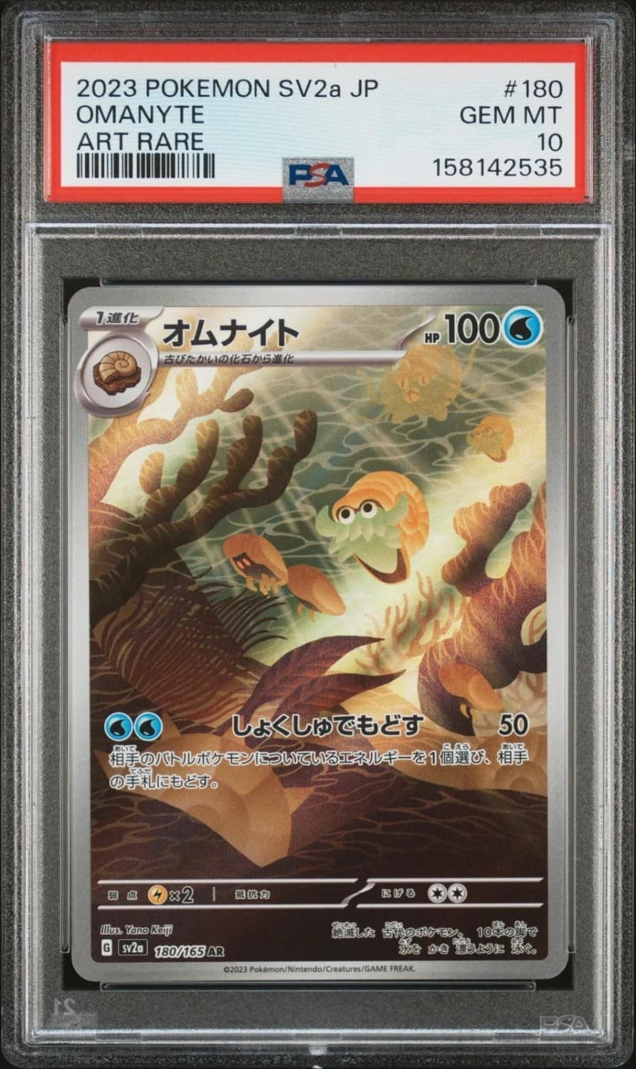 Omanyte