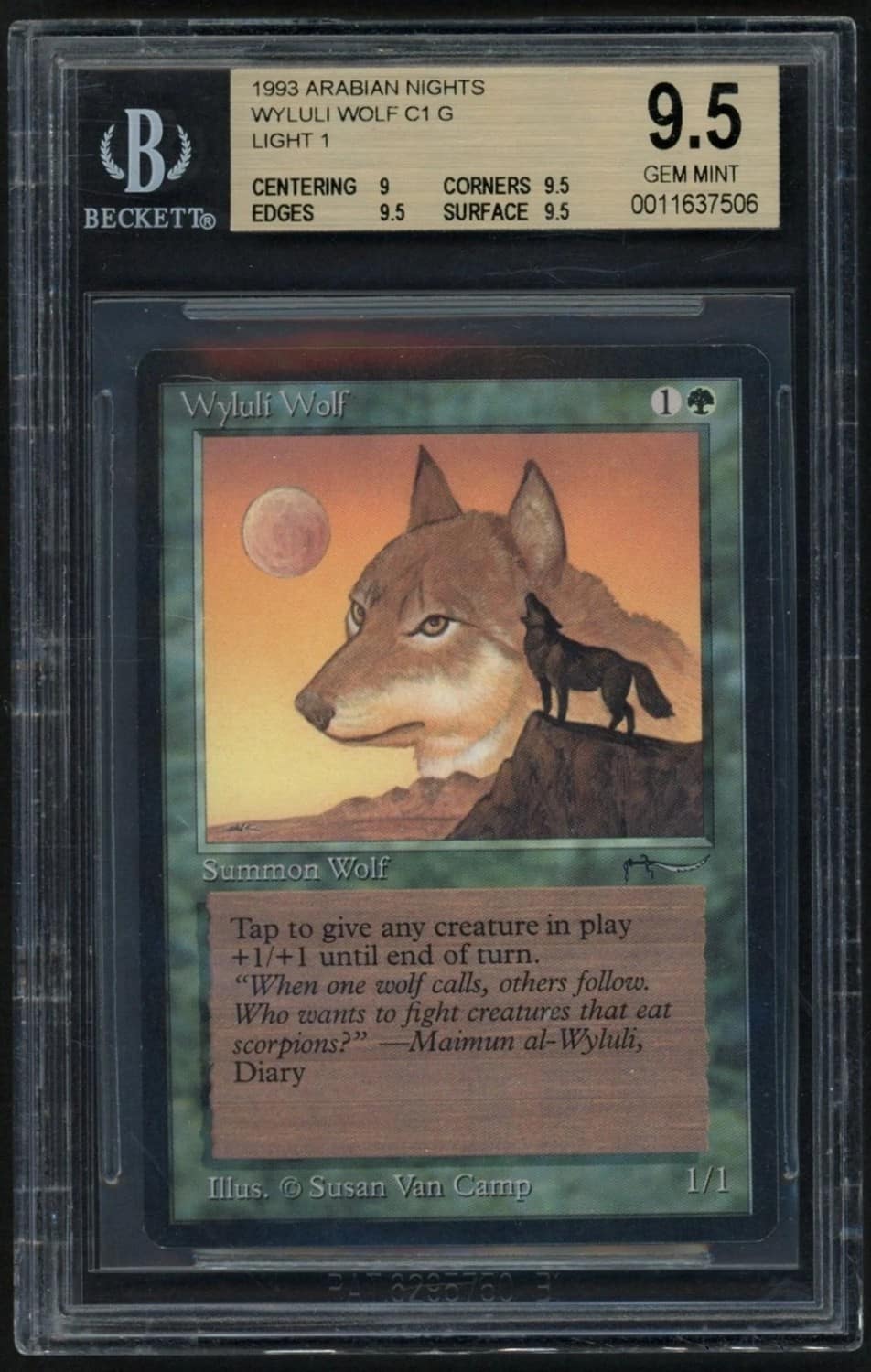 Wyluli Wolf