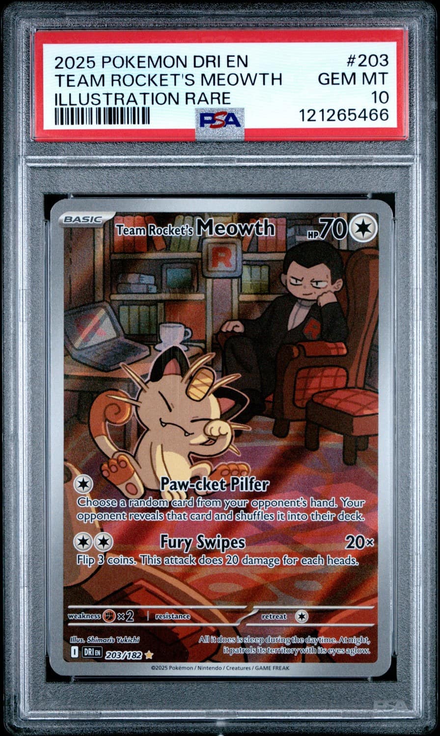 Team Rocket'S Meowth