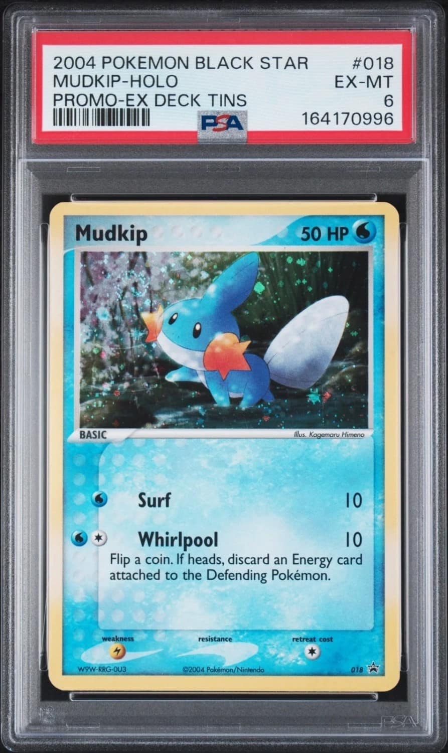 Mudkip