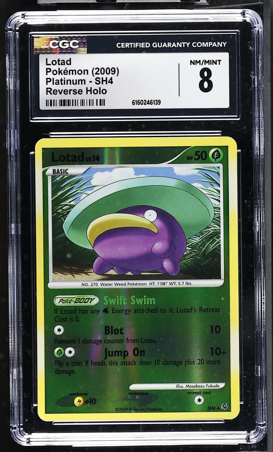Lotad