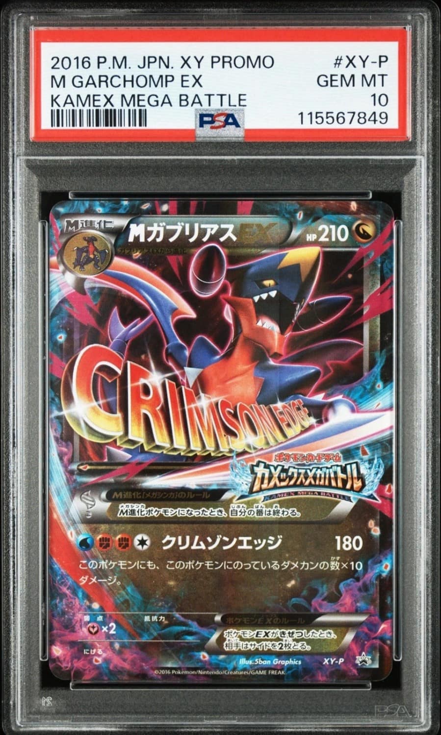 M Garchomp Ex