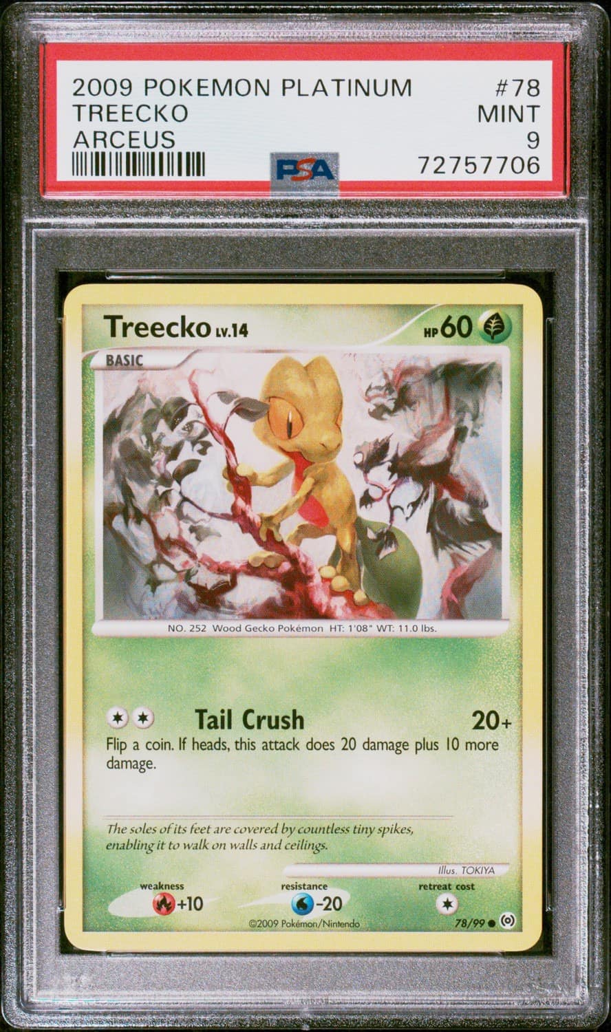 Treecko