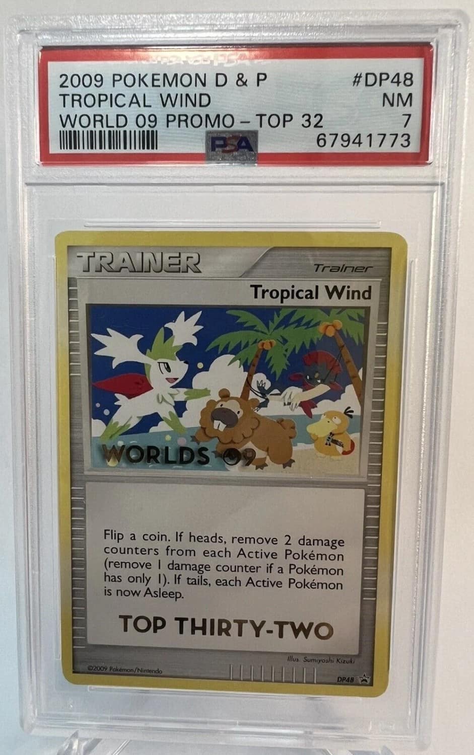 Tropical Wind