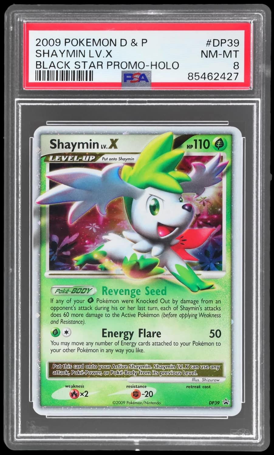 Shaymin Lv X