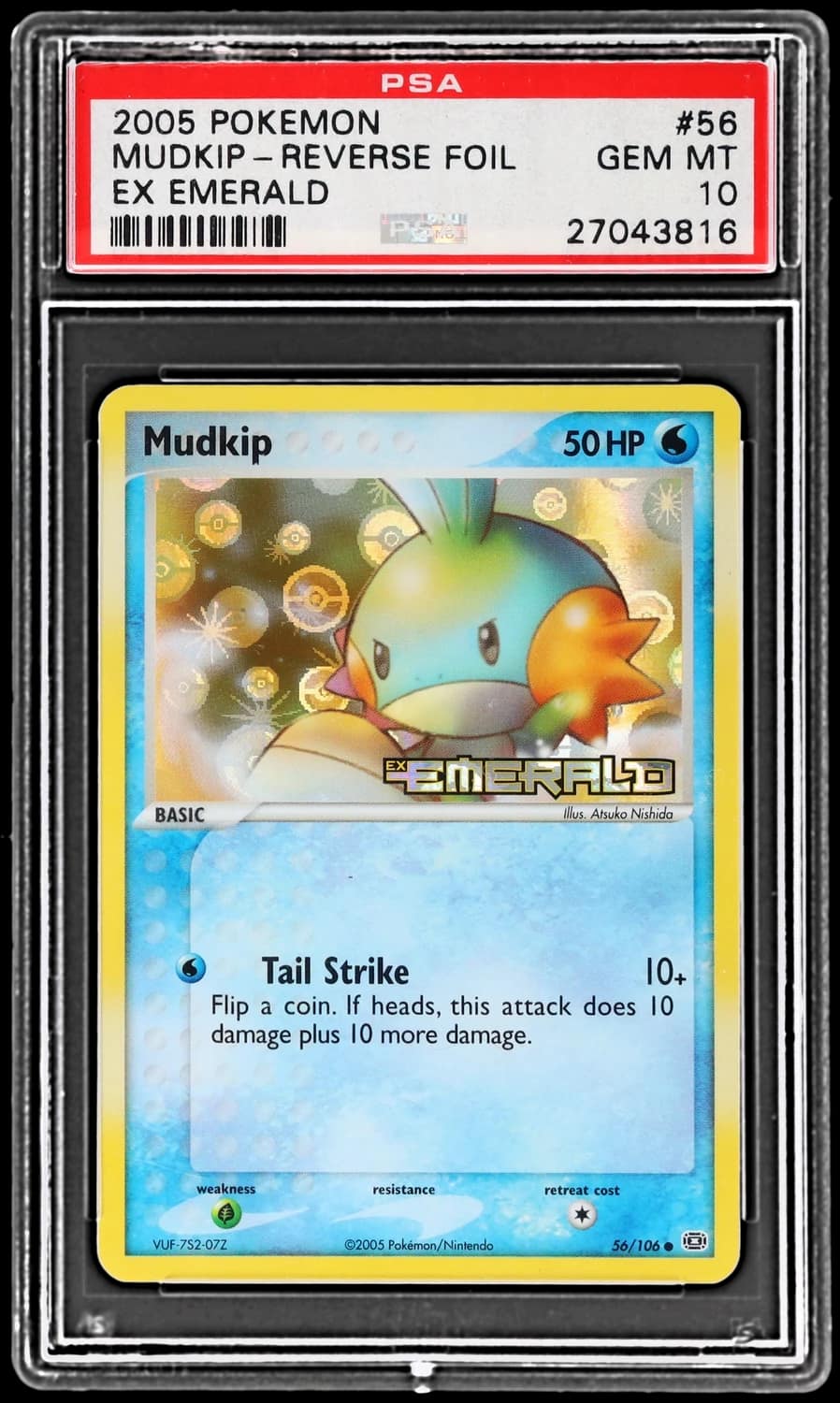 Mudkip