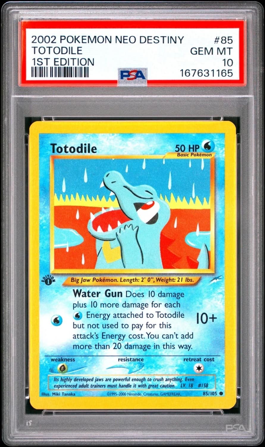 Totodile