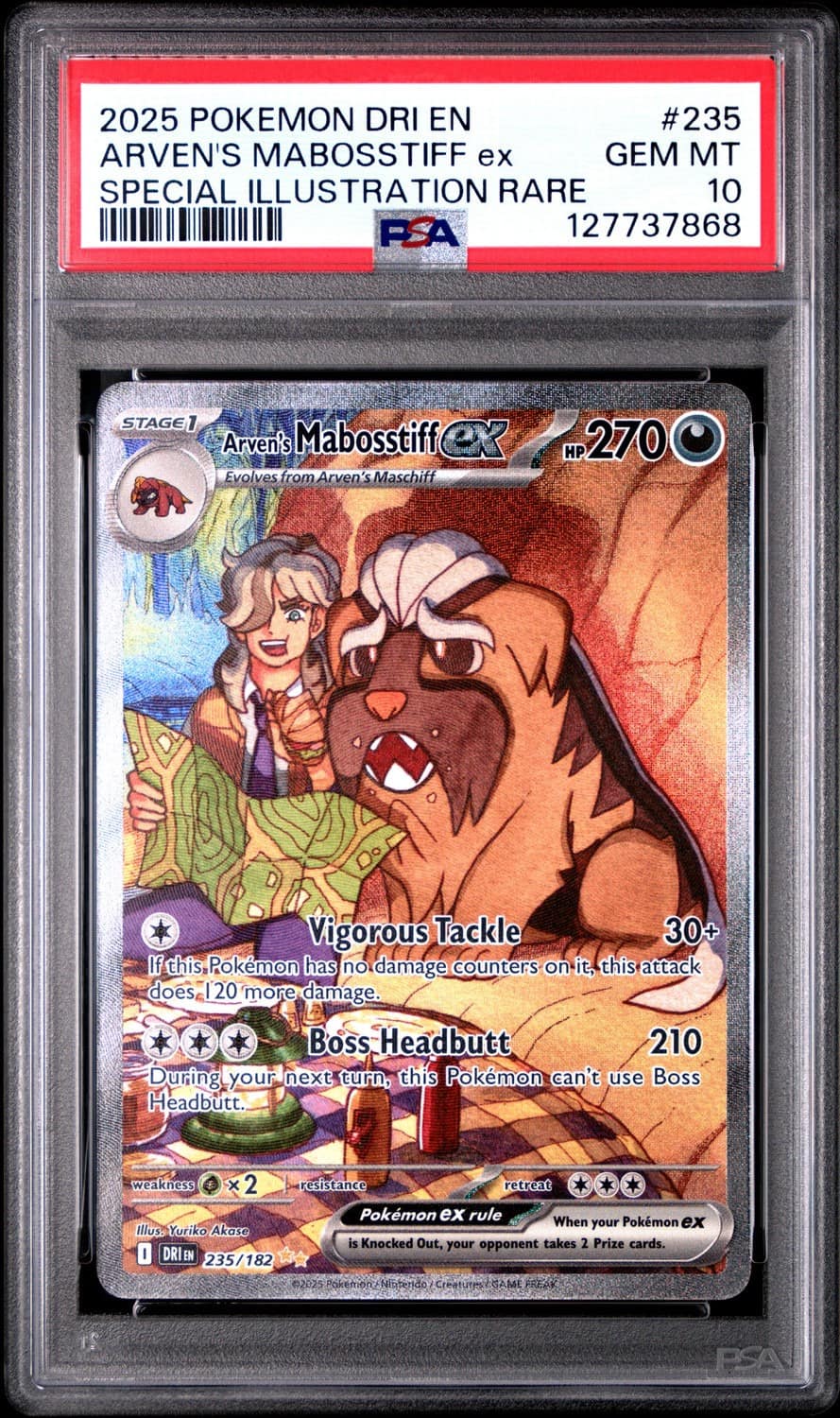 Arven'S Mabosstiff Ex