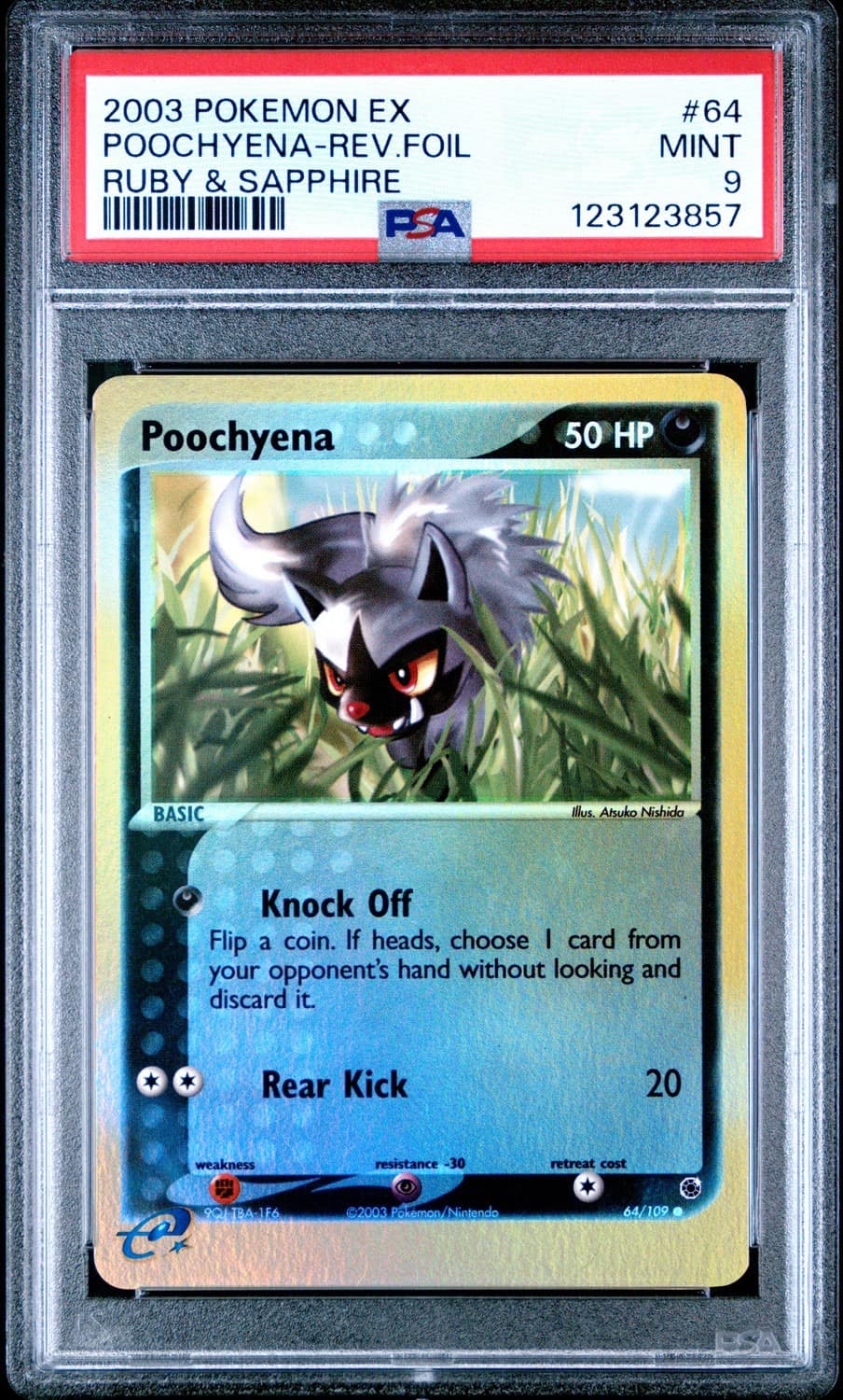 Poochyena