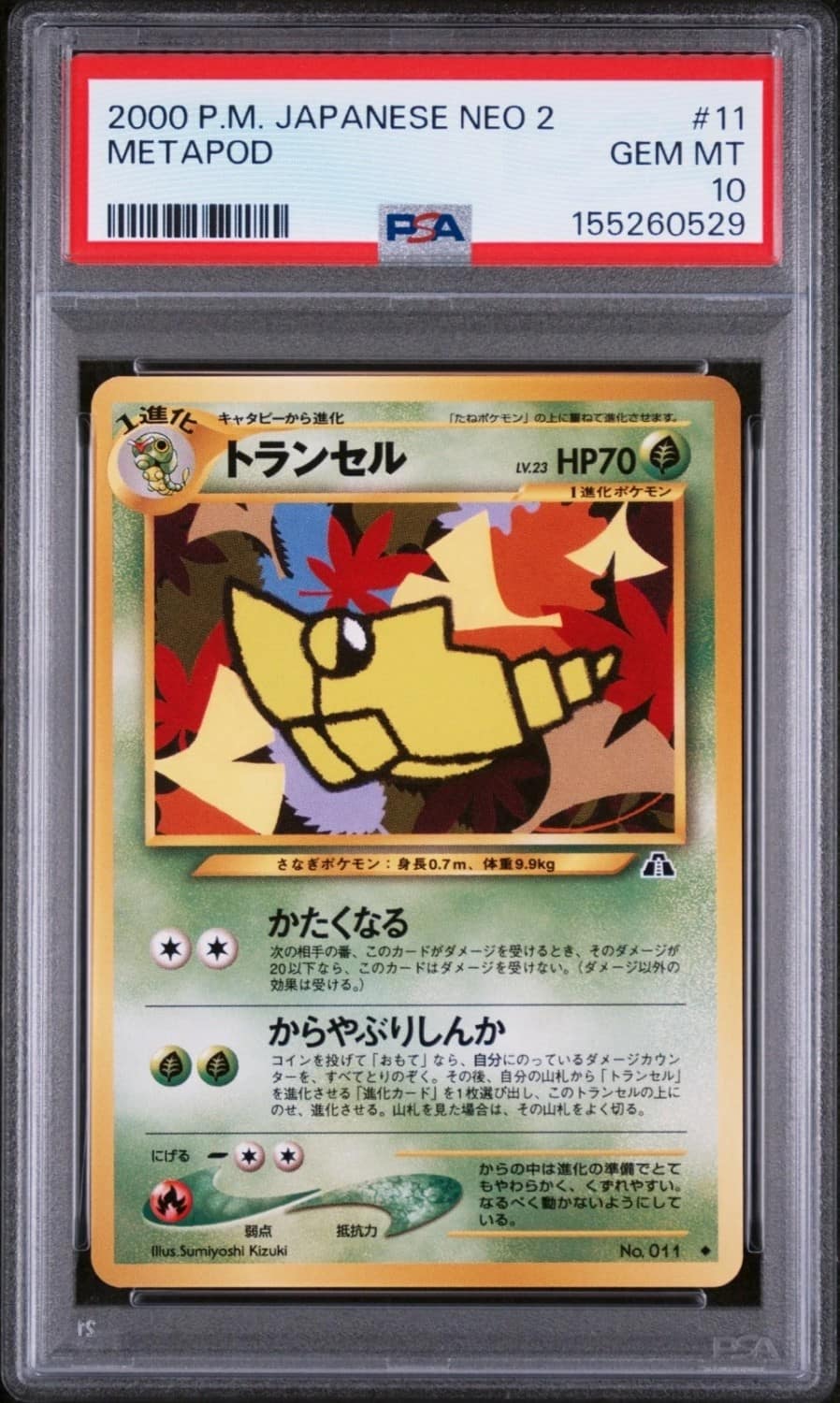 Metapod