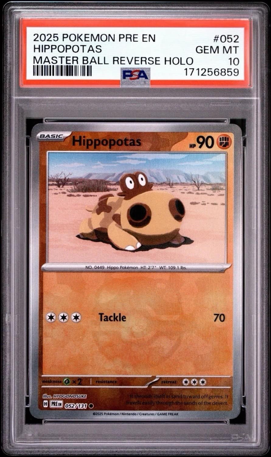 Hippopotas